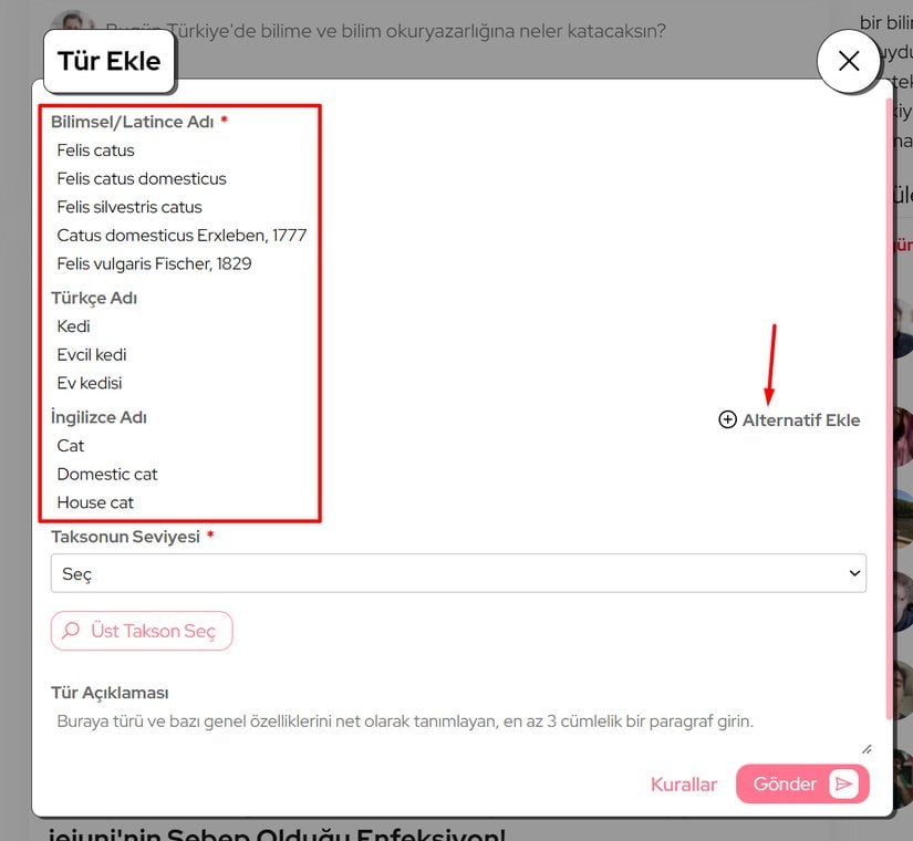 Tür ismini eklerken, her bir kısımda ayrıca çıkan "Alternatif Ekle" tuşunu kullanarak olası tüm alternatiflerini eklediğinizden emin olunuz.