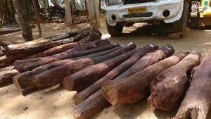 Major Smuggling Crackdown On Red Sandalwood Leads To Arrests