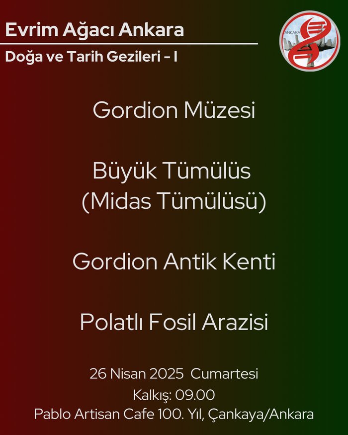 Gordion Antik Kenti ve Polatlı Fosil Arazisi Gezisi