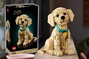 LEGO Unveils Golden Retriever Puppy Set For 2026
