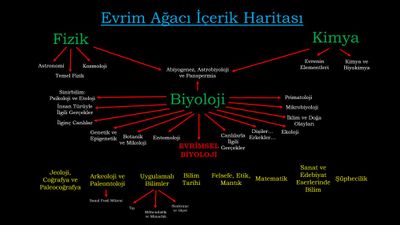 EvrimAgaci.org: Yeni Albümler, Düzenlemeler ve Güncellemeler (28.11.2014)