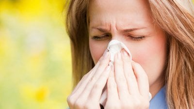 Alerjiyle İlgili Genel Bilgiler