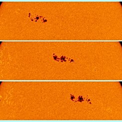 Sunspot Region 30