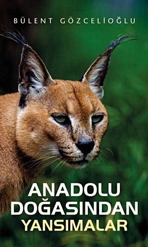 Anadolu Doğasından Yansımalar