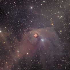  T Tauri and Hind's Variable Nebula 