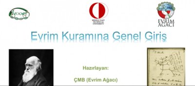Video Sunumlarımız Geliyor!