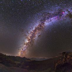 Milky Way and Stone Tree