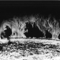 A Prominent Solar Prominence