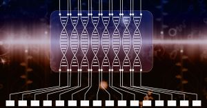 Breakthroughs In DNA-Based Quantum Computing Research