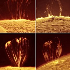 Coronal Loops on the Sun