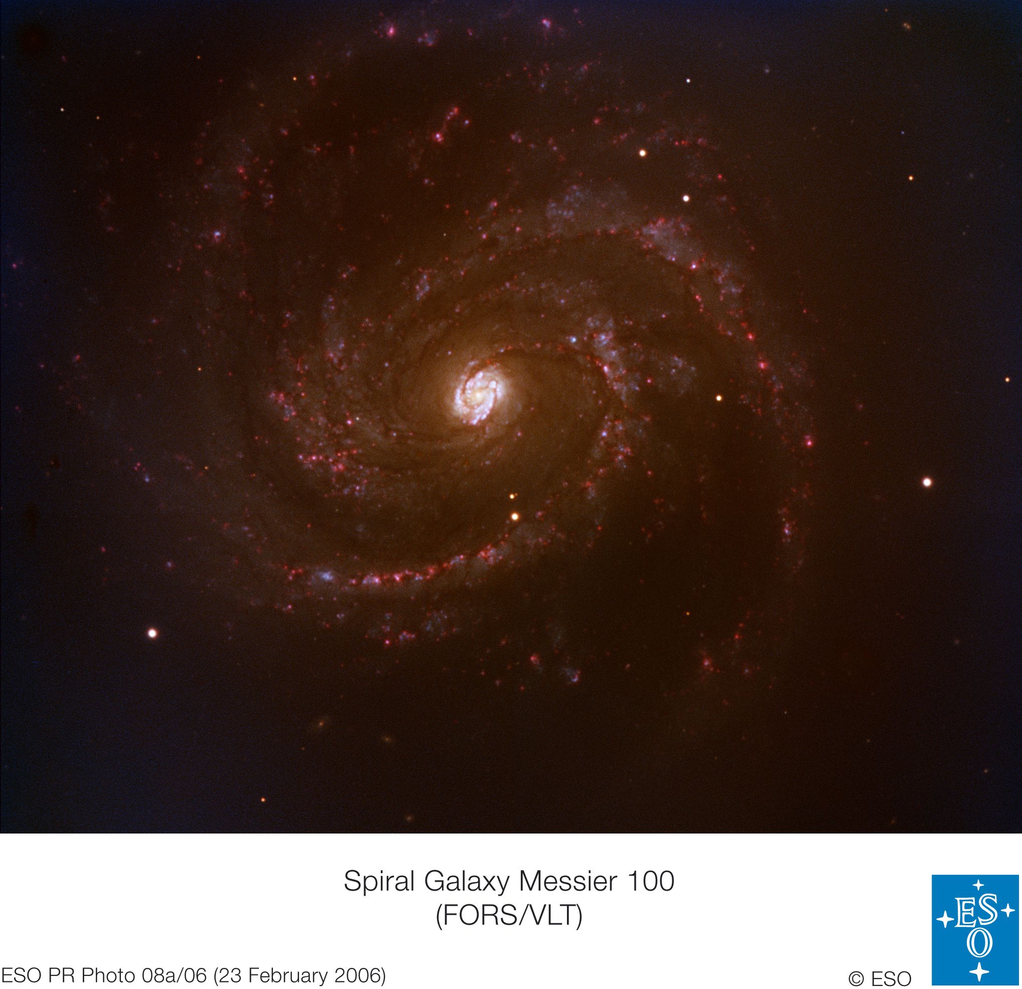 A Nearby Supernova in Spiral Galaxy M100