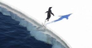 Scientists Urge Action On Antarctic Conservation