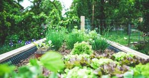 Luxurious Home Trends Elevate Scenting Gardening Lighting