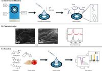 Reduced graphene oxide-based electrochemical aptasensor for the multiplexed detection of imidacloprid, thiamethoxam, and clothianidin in food samples - Scientific Reports