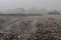 Heavy rain, storms, and hailstorm alerts in Bhopal and 16 MP districts