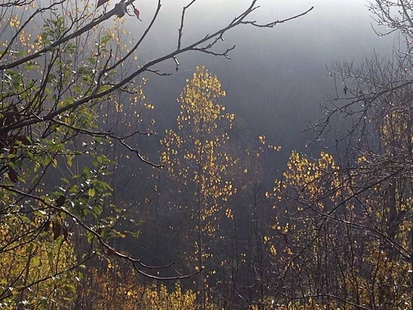 Ilıca, Küre Dağları Milli Parkı