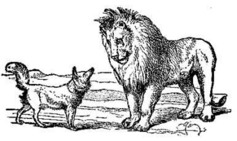 Fox and Lion