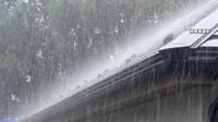 横浜・川崎に大雨洪水警報　ゴールデンウィーク後半も各地で“警報級大雨”…イベントも直撃　低い土地の浸水や川の増水・落雷・突風などに注意（FNNプライムオンライン（フジテレビ系）） - Yahoo!ニュース