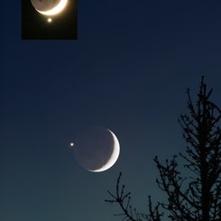 Venus in the Moon