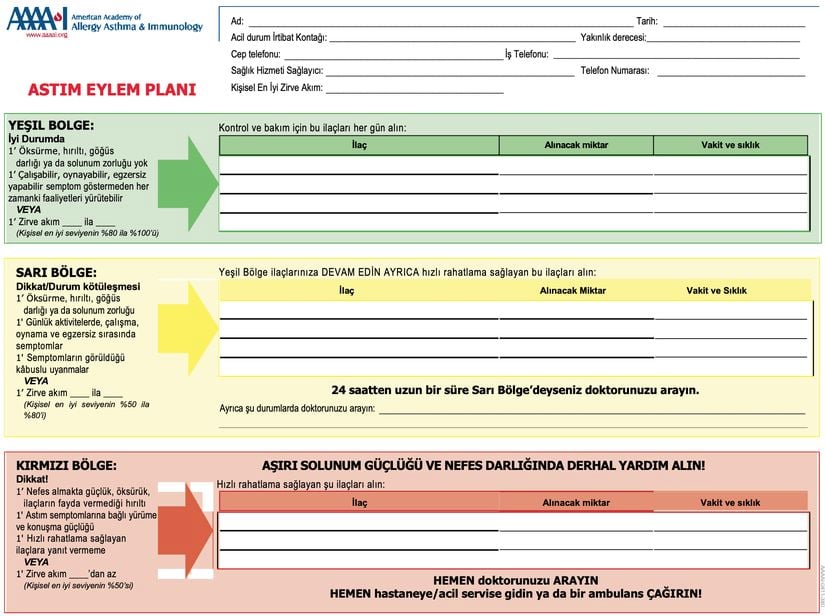 Örnek Astım Eylem Planı