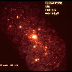 The X-ray Sources of M31