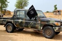 Boko Haram founder’s son arrested in Chad