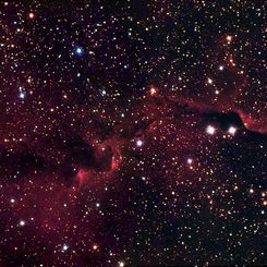 The Elephant's Trunk in IC 1396