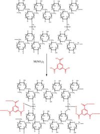 Efficient uremic toxins adsorption from simulated blood by immobilization of metal organic frameworks anchored Sephadex beads - Scientific Reports