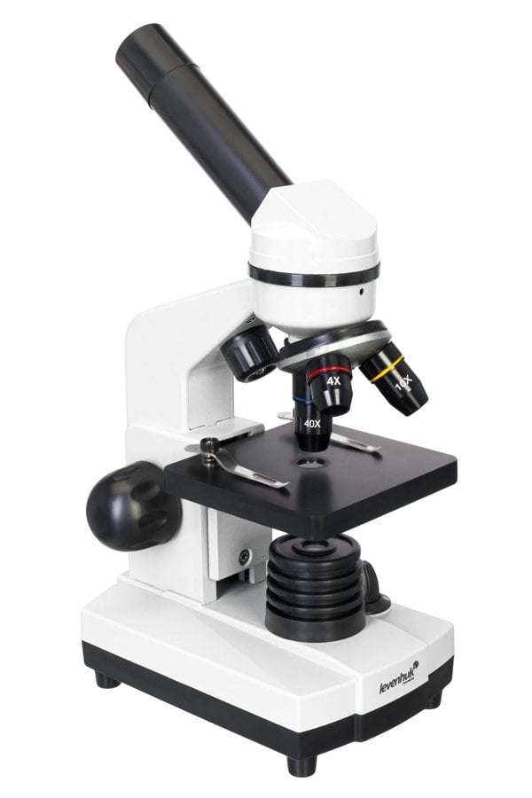 Levenhuk Rainbow D2L 0,3 M Dijital Mikroskop, Moonstone