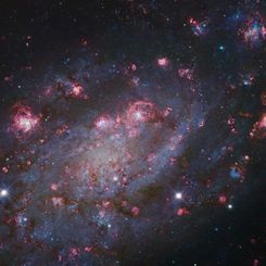 NGC 2403 in Camelopardalis