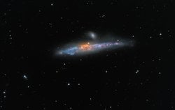 NGC 4631: Balina Gökadası