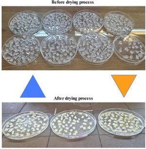 New Antimicrobial Hydrogel Shows Promise For Environmental Applications