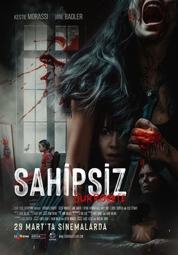 Sahipsiz