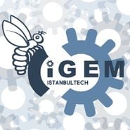 İTÜ iGEM Takımı