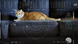 NASA Lazer Kullanarak Uzayın Derinliklerinden Kedi Videosu Yayınlıyor.