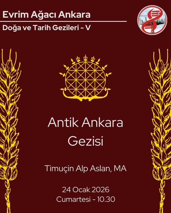 Anadolu Medeniyetleri Müzesi Gezisi - Evrim Ağacı Ankara Topluluğu