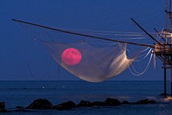 Balıkçı Ağıyla Ayı Yakalamak