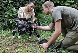 Dört Bacaklı Robot Paws, Hayvanların Doğal Hareketlerini Minimum Enerjiyle Taklit Ediyor!