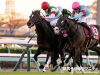 【天皇賞（春）2025】伊吹雅也のピックアップ競馬データ～特選重賞データ分析編