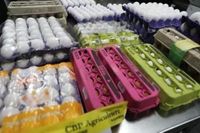 Eggs seized at US border more than fentanyl amid bird flu outbreak, federal data shows