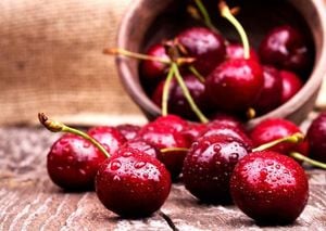 Sarawak And North Khorasan Boost Agricultural Exports