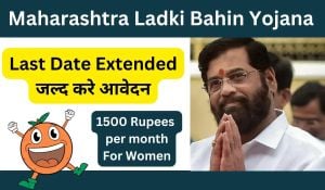 Maharashtra Government Confirms February Transfer For Ladki Bahin Scheme