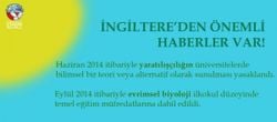 İngiltere'de Evrim İlkokul Düzeyinde De Öğretilecek!