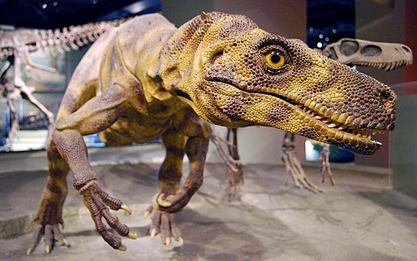 Herrerasaurus modellemesi