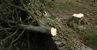 Men guilty of felling much-loved British 'Sycamore Gap' tree