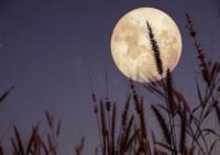 La luna llena de mayo se acerca: así brillará la mágica 