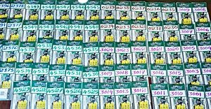 Kerala Lottery Dhanalekshmi Draw Transforms Lives Overnight