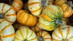 Cucurbitales (Cucurbitales)
