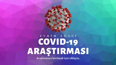 Evrim Ağacı COVID-19 Araştırmasına Katılın: Belirtilerinizi Bugün Belirtim.com Sistemine Girdiniz mi?