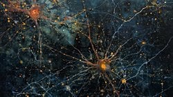 Kimyasal Anahtarlarla Nöron Programlama: Kemogenetik Nedir?